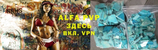 стафф Гусев