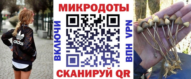 где продают наркотики  Кола  blacksprut ссылки  Псилоцибиновые грибы GOLDEN TEACHER 